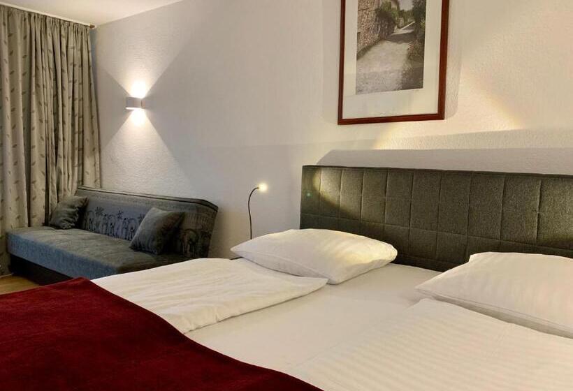 آپارتمان 3 خوابه, Altstadthotel Hayk Am Rhein