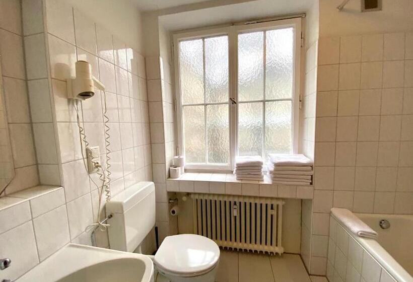 آپارتمان اکونومی 1 خوابه, Altstadthotel Hayk Am Rhein