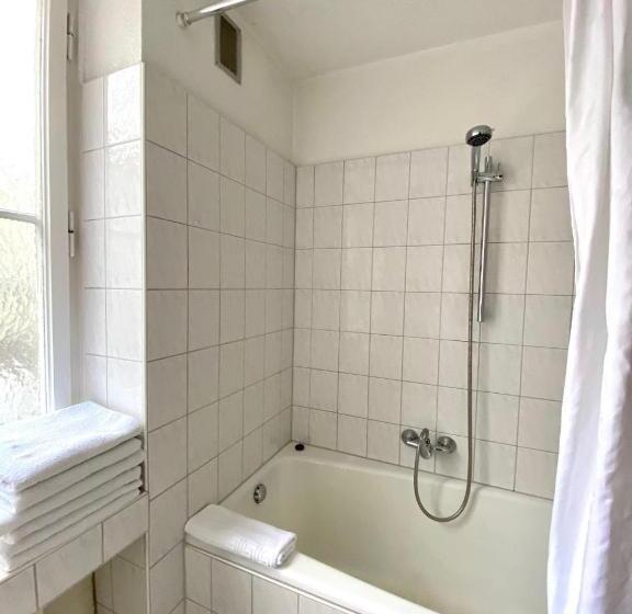 آپارتمان اکونومی 1 خوابه, Altstadthotel Hayk Am Rhein