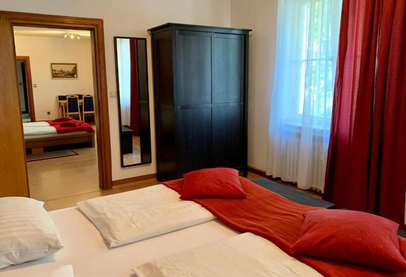 آپارتمان اکونومی 1 خوابه, Altstadthotel Hayk Am Rhein