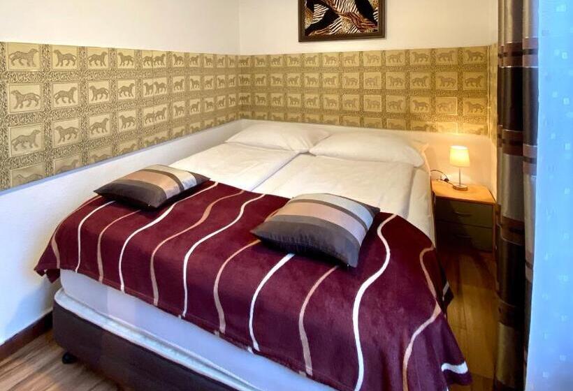 آپارتمان اکونومی 1 خوابه, Altstadthotel Hayk Am Rhein