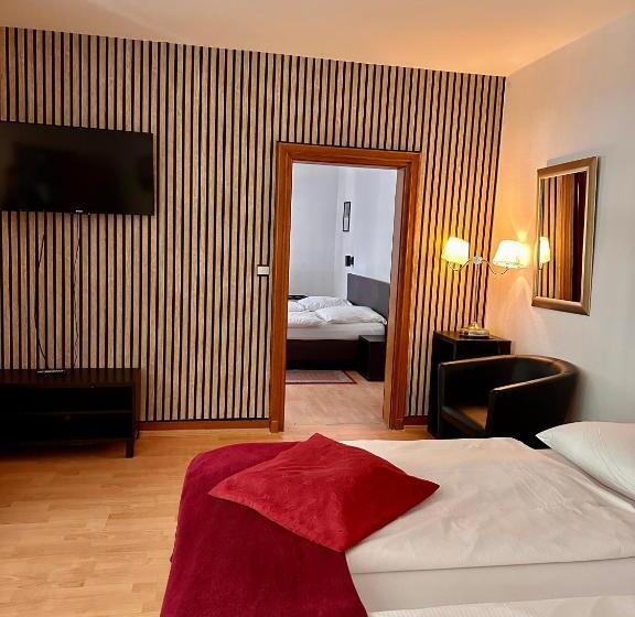 آپارتمان اکونومی 1 خوابه, Altstadthotel Hayk Am Rhein