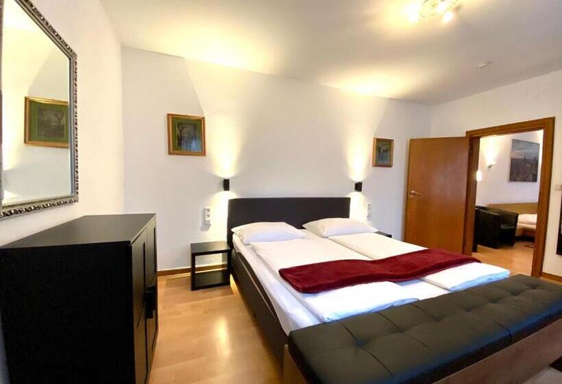 آپارتمان اکونومی 1 خوابه, Altstadthotel Hayk Am Rhein