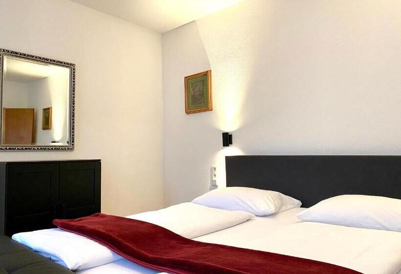 آپارتمان اکونومی 1 خوابه, Altstadthotel Hayk Am Rhein