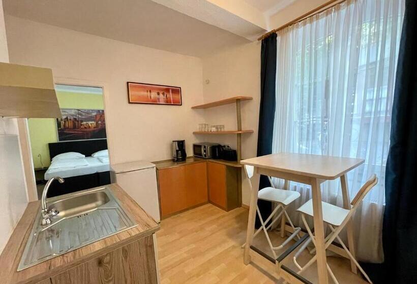 آپارتمان 1 خوابه همکف, Altstadthotel Hayk Am Rhein