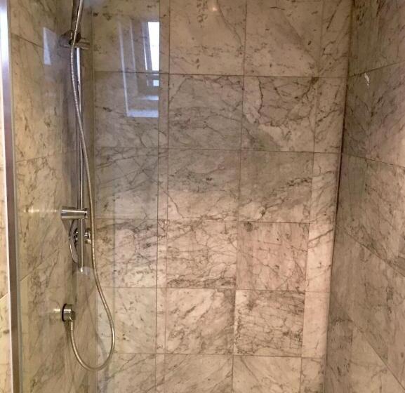 آپارتمان لوکس 1 خوابه, Altstadthotel Hayk Am Rhein