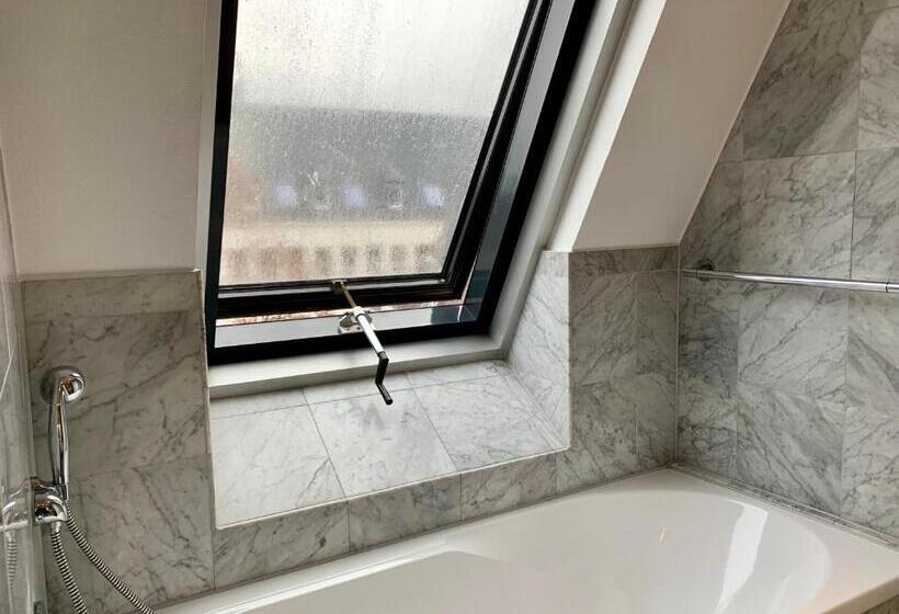 آپارتمان لوکس 1 خوابه, Altstadthotel Hayk Am Rhein
