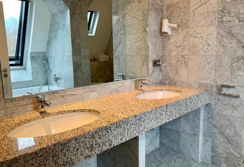 آپارتمان لوکس 1 خوابه, Altstadthotel Hayk Am Rhein