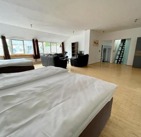 آپارتمان لوکس 1 خوابه, Altstadthotel Hayk Am Rhein