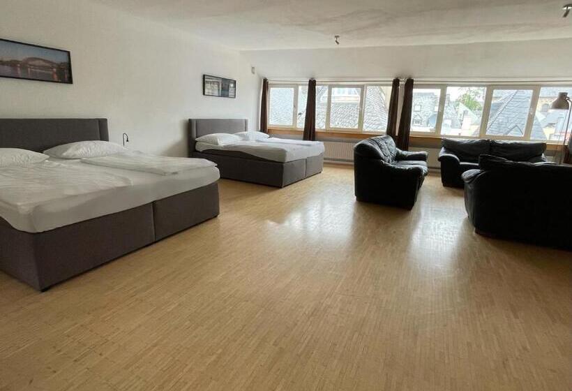 آپارتمان لوکس 1 خوابه, Altstadthotel Hayk Am Rhein