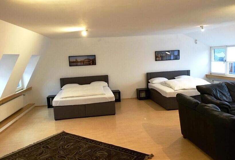 آپارتمان لوکس 1 خوابه, Altstadthotel Hayk Am Rhein