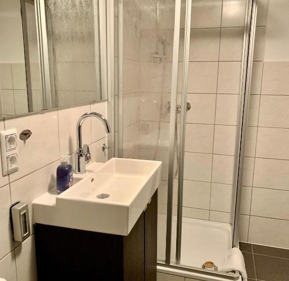 آپارتمان سوپریور 1 خوابه, Altstadthotel Hayk Am Rhein