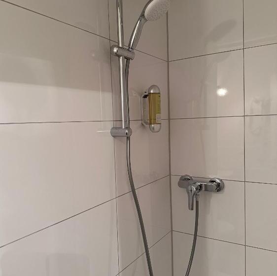 اتاق عادی, Altstadthotel Hayk Am Rhein