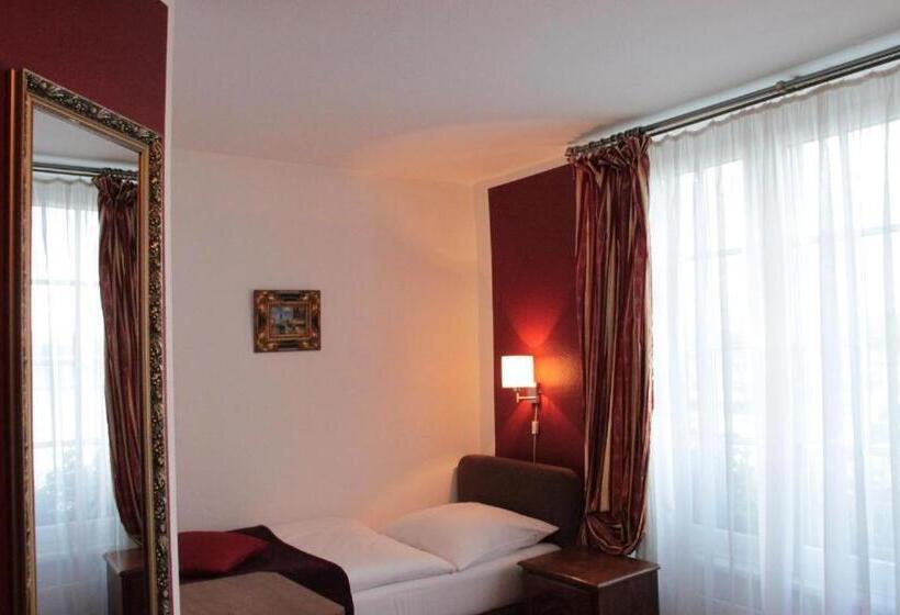 اتاق استاندارد با چشم‌انداز دریاچه, Altstadthotel Hayk Am Rhein