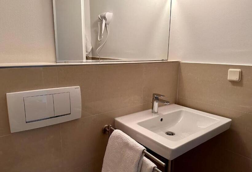 اتاق استاندارد با چشم‌انداز دریاچه, Altstadthotel Hayk Am Rhein