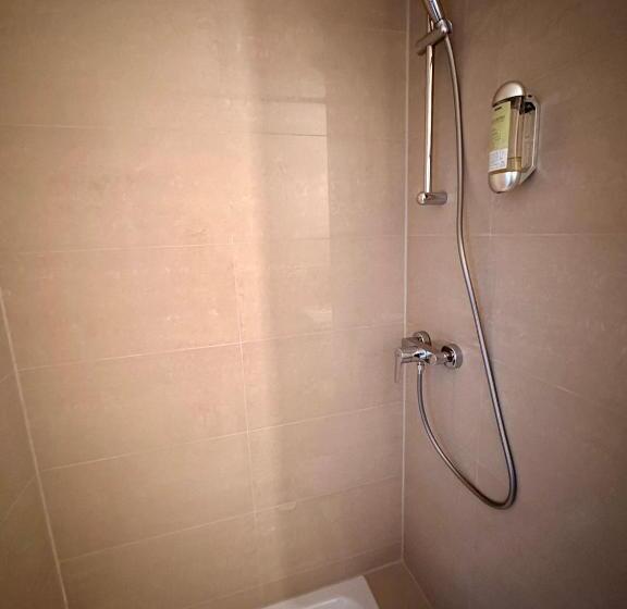 اتاق استاندارد با چشم‌انداز دریاچه, Altstadthotel Hayk Am Rhein