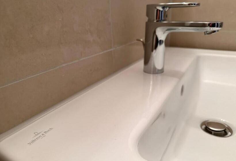 اتاق استاندارد با چشم‌انداز دریاچه, Altstadthotel Hayk Am Rhein