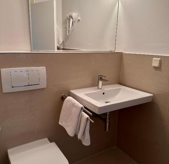 اتاق استاندارد با چشم‌انداز دریاچه, Altstadthotel Hayk Am Rhein