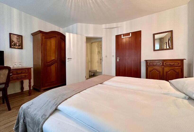 اتاق استاندارد با تخت بزرگ, Altstadthotel Hayk Am Rhein