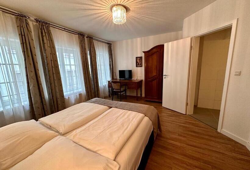 اتاق استاندارد با تخت بزرگ, Altstadthotel Hayk Am Rhein