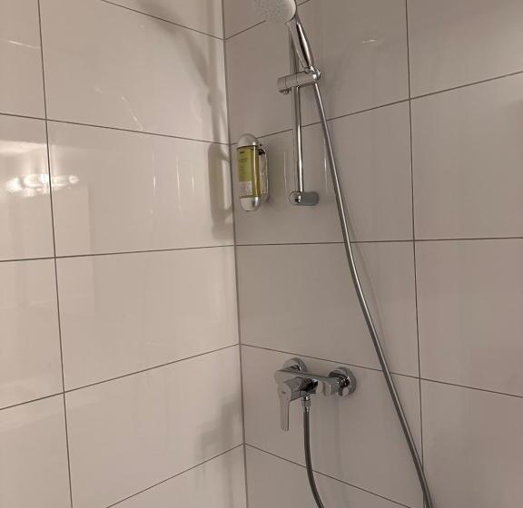 اتاق استاندارد با تخت بزرگ, Altstadthotel Hayk Am Rhein