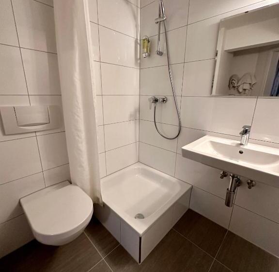 اتاق استاندارد با تخت بزرگ, Altstadthotel Hayk Am Rhein