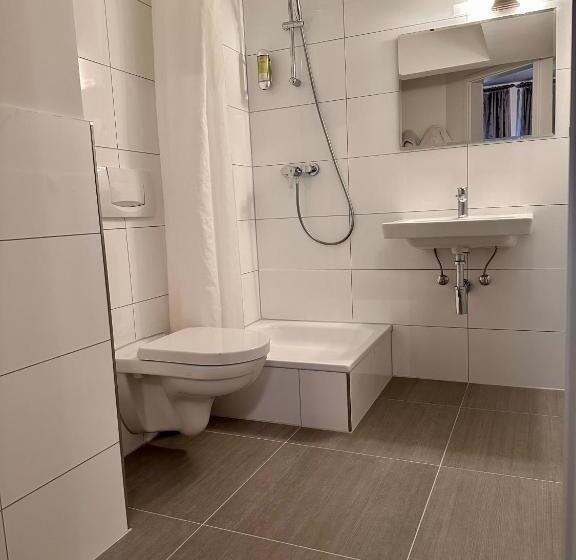 اتاق استاندارد با تخت بزرگ, Altstadthotel Hayk Am Rhein