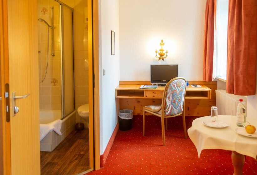 Номер Стандарт Индивидуальный, Aktiv Hotel Schweiger