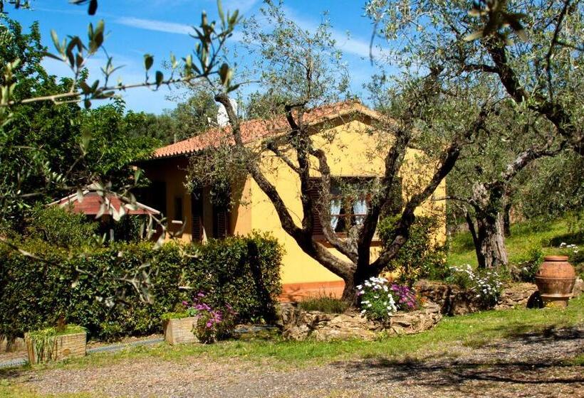 Апартаменты 1 Спальня, Agriturismo I Cerroni Montescudaio