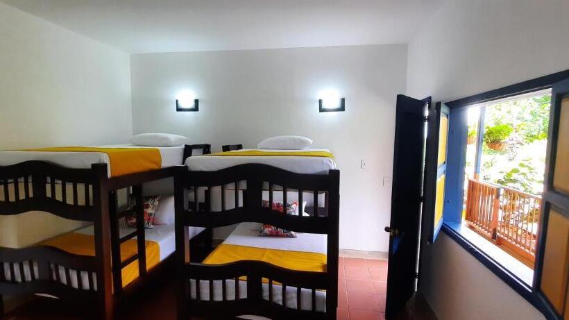 Четырехместный Номер Стандарт, Ecohotel Guaduales Pereira
