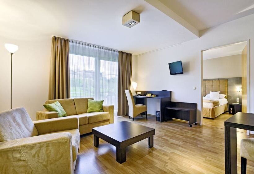 高级大房间, Art Hotel Superior