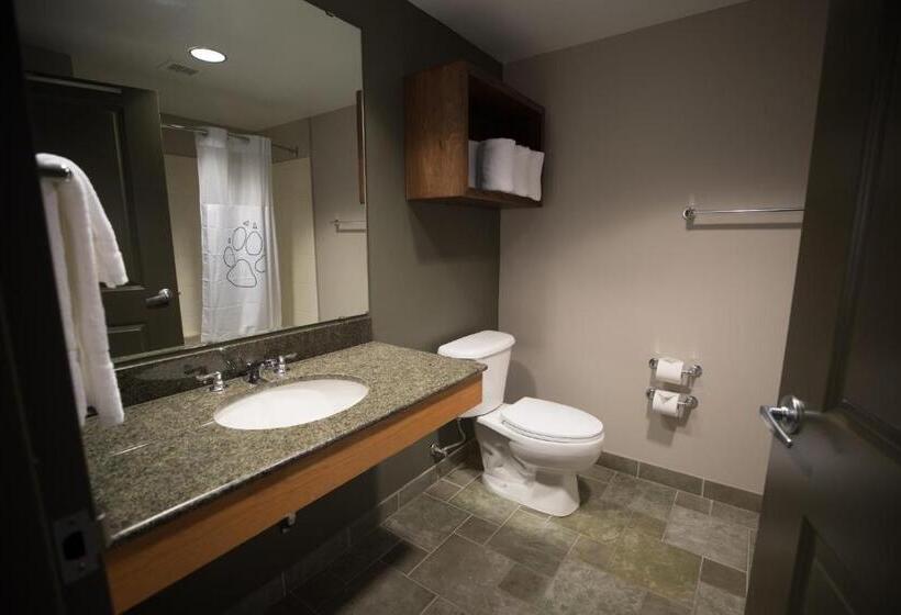 Люкс 2 Спальни, Great Wolf Lodge  Bloomington