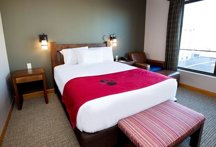 Люкс, Great Wolf Lodge  Bloomington