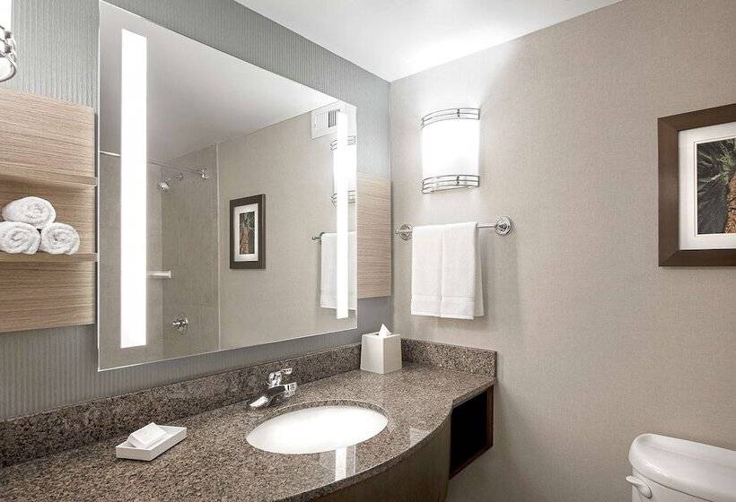 스위트, Hilton Garden Inn Cleveland Downtown