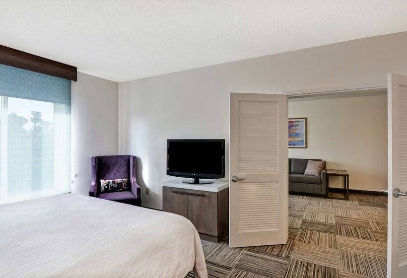 Люкс, Hilton Garden Inn Mobile East Bay / Daphne