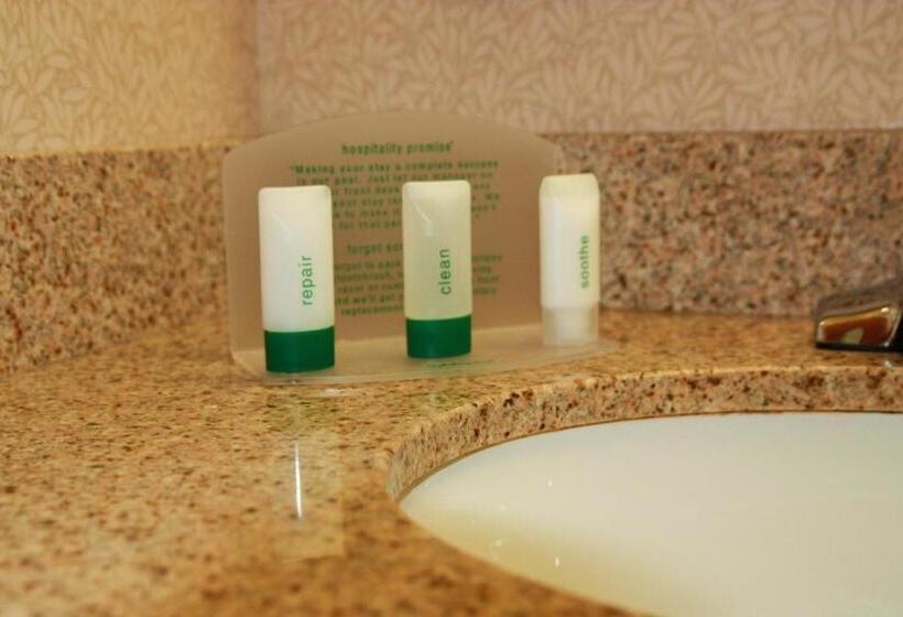 Номер Executive Кровать Кинг, Holiday Inn Express Hotel & Suites Manchester   Airport, An Ihg