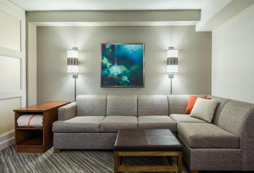 스탠다드 룸 킹사이즈 침대, Hyatt Place Rogers/bentonville