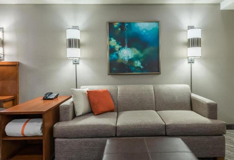 장애인을 위한 킹사이즈 침대 스탠다드 룸, Hyatt Place Rogers/bentonville