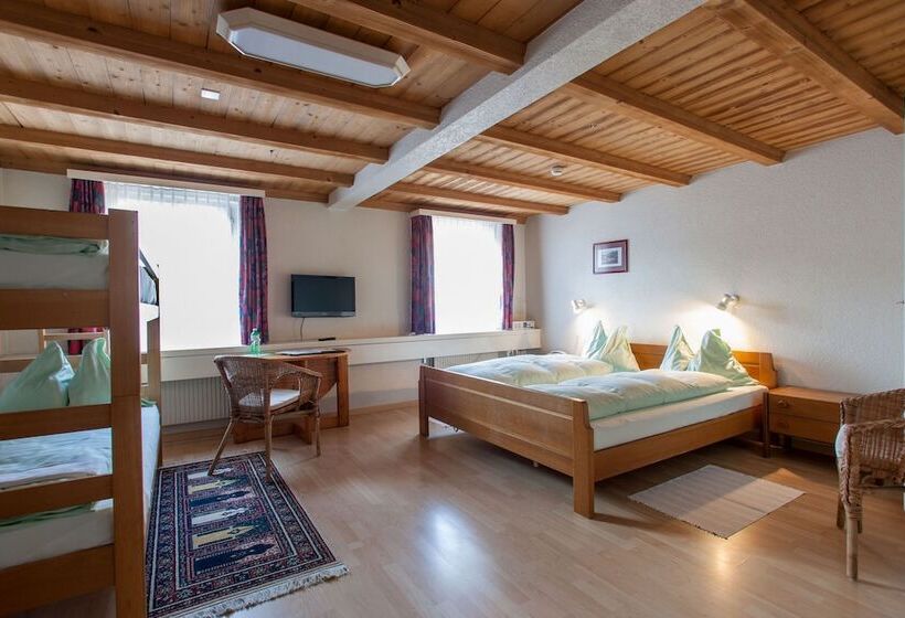 اتاق استاندارد, Seminarhotel Linde Stettlen