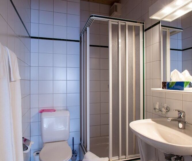 Номер Комфорт Индивидуальный, Seminarhotel Linde Stettlen
