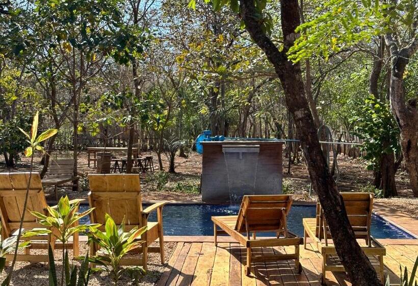 스탠다드 룸, Finca Avellanas