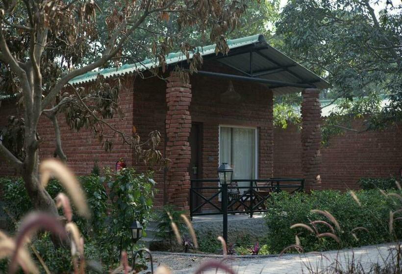 标准间带阳台, Mango Tree Resorts