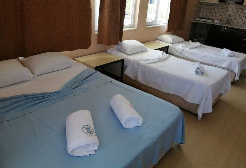 آپارتمان 1 خوابه, Mina Apart Otel