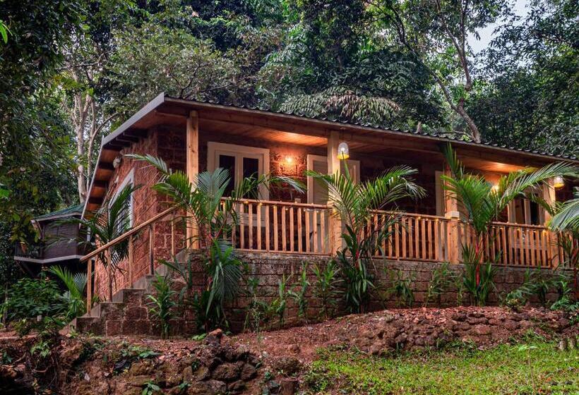 小室, Nirvana Hill Resort