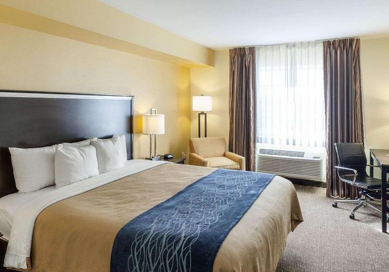 Стандартный Номер Кровать Кинг, Comfort Inn & Suites Texas Hill Country