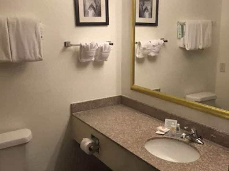 Люкс, Comfort Inn & Suites Texas Hill Country