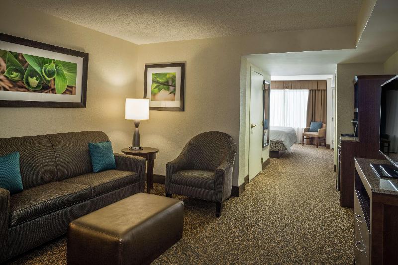 Полулюкс Кровать Кинг, Hilton Garden Inn Richmond Innsbrook