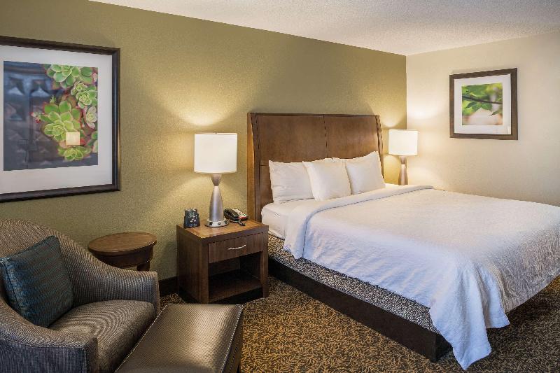 带大床的标准间, Hilton Garden Inn Richmond Innsbrook