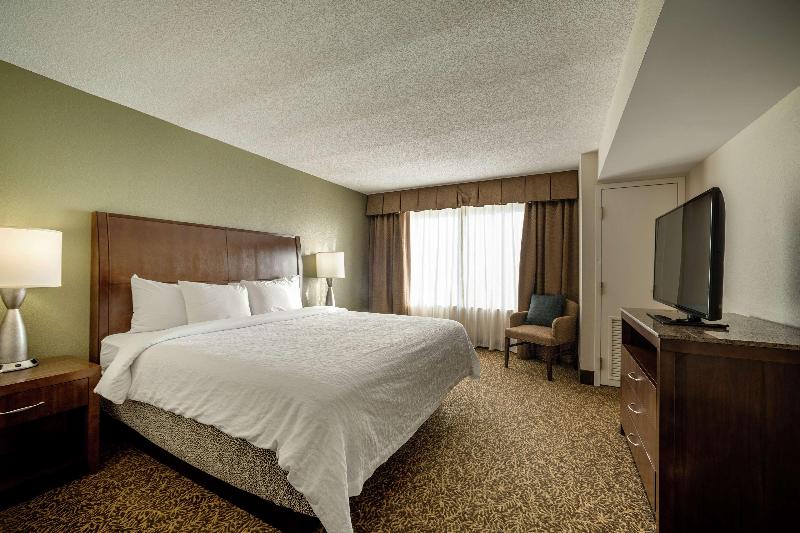 带大床的小型套房, Hilton Garden Inn Richmond Innsbrook