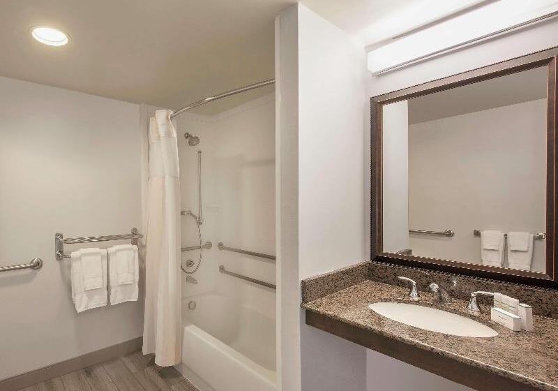 Полулюкс Кровать Кинг, Hilton Garden Inn Richmond Innsbrook